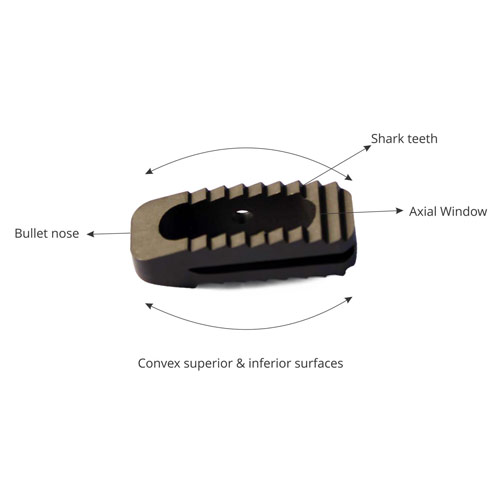 Lumbar Cage System