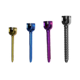 Pedicle Screw System