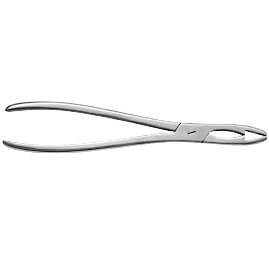 Fergusson's or Lion Bone Holding Forceps