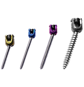 Single Lock Polyaxial Screw